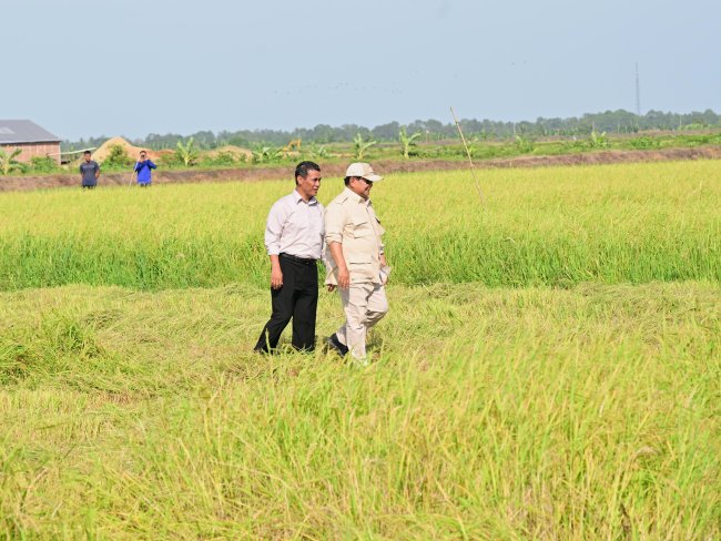 Prabowo Tinjau Infrastruktur Areal Lumbung Pangan di Merauke