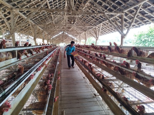 Awalnya Terhimpit Pandemi Kini Klaster Usaha Ini Berkembang Berkat Program BRI KlasterkuHidupku