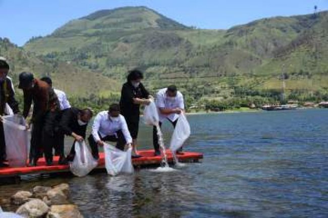 Jaga Keberlanjutan SDI, KKP dan Komisi IV DPR Restocking Ikan di Danau Toba