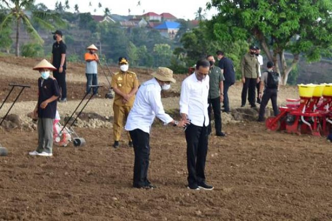 Tanam Jagung di Jenoponto, Presiden Jokowi Tegaskan Kebutuhan Nasional Bisa Dipenuhi Petani Lokal