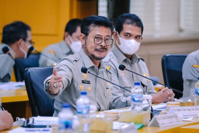 Paten, Ini Langkah Mentan SYL Mengenai Pengembangan Jeruk Nasional