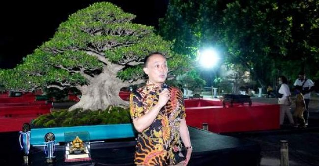 Inilah Pohon  Bonsai Terbaik Festival Rubi Piala Raja di Yogyakarta 