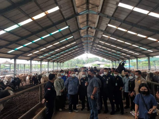 Kunjungi Peternakan Sapi di Deli Serdang, Mentan SYL Pastikan Stock Sapi Siap Potong di Sumut dan Aceh Aman