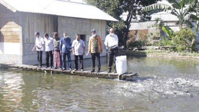KKP: Canangkan Kampung Perikanan Budidaya Nila, Jawab Masalah Perikanan di Lombok Tengah