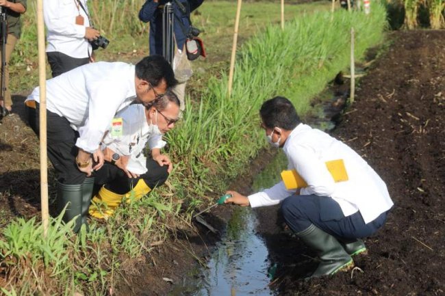 Antisipasi Kemarau 2022, Kementan Dorong Gerakan Panen Air