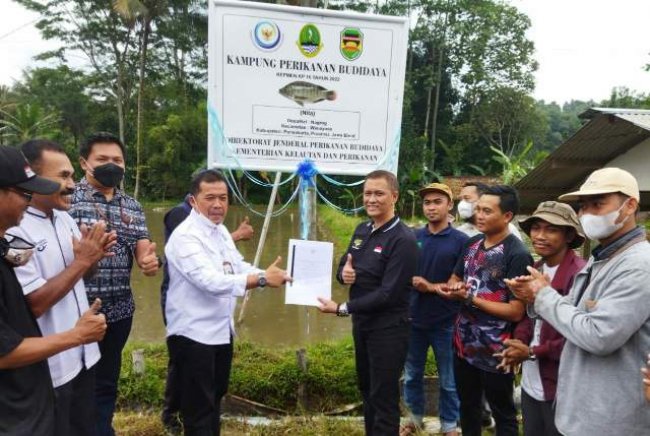 Kampung Nila di Purwakarta Pasok Benih Sampai Jambi