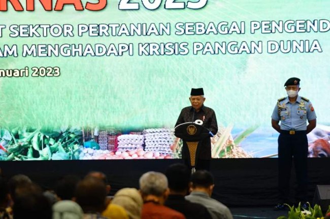 Wapres Maruf Amin Bilang Kondisi Beras Indonesia Dalam Posisi Cukup, Sumbernya Data BPS