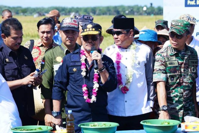 Panen Raya Di Bengkulu, Mentan SYL Apresiasi Keberhasilan Petani ...