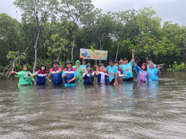 10.000 Mangrove Nusantara Regas Untuk Pelestarian Lingkungan Pulau Untung Jawa