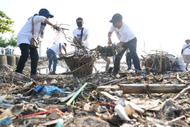 Aksi Bersih Pantai, Pelindo Kumpulkan 1,7 Ton Sampah