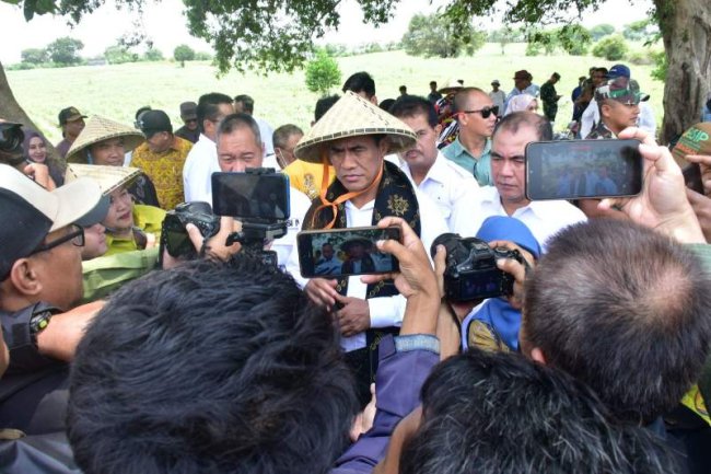 Amankan Produksi Melimpah, Kementan dan Bapanas Ajak Stakeholder Sambut Panen Raya 2024