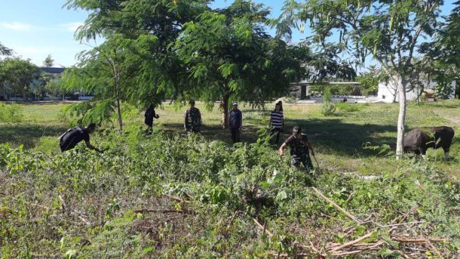 PLBN Motamasin dengan TNI Gotong Royong Bersihkan Lahan Seluas 3,76 Hektare