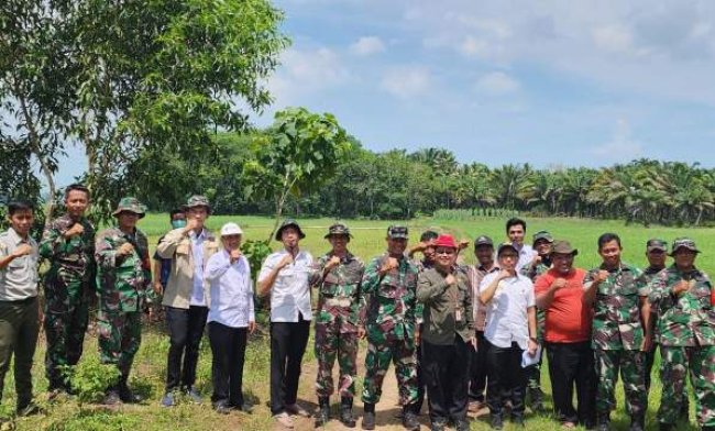 Kementan - TNI Bersinergi Wujudkan Lampung Jadi Sentra Produksi Beras Nasional