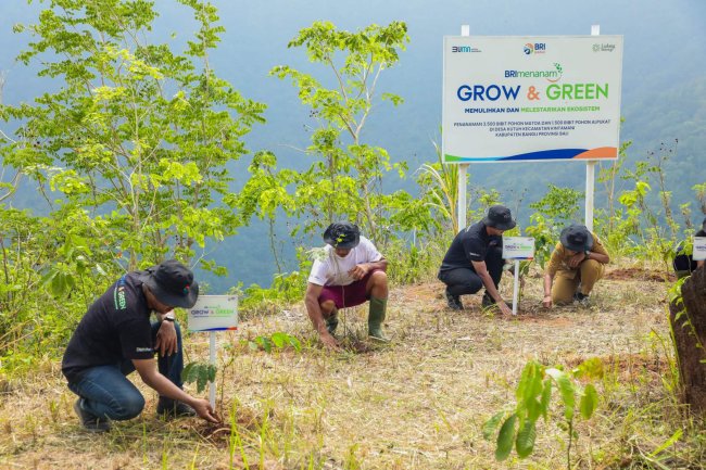 Peringati Hari Menanam Pohon, BRI Tanam 5.000 Bibit Pohon Produktif di Desa Kutuh Bali