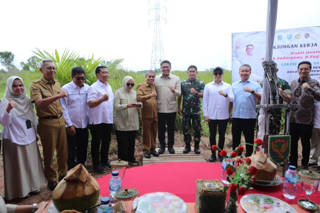 Wamentan Mas Dar Dorong Optimasi Lahan Rawa Capai 106 Ribu Hektar Dan 150 ribu Hektar Cetak Sawah Baru di Sumsel