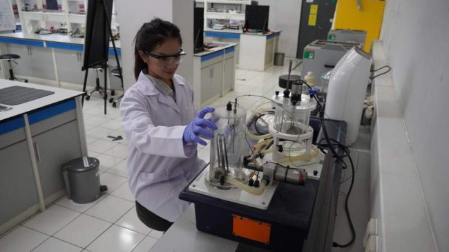 Magister Sains Berkelanjutan Universitas Pertamina Menjawab Tantangan ESG