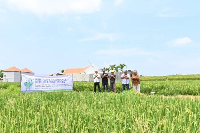 PertaLife Insurance Peduli Lingkungan,  Selamatkan Bumi Melalui Eco Enzyme