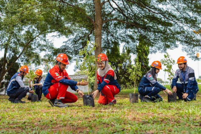WSBP Lanjut Tanam 433 Pohon Trembesi,  Terus Lakukan Pembangunan Berkelanjutan