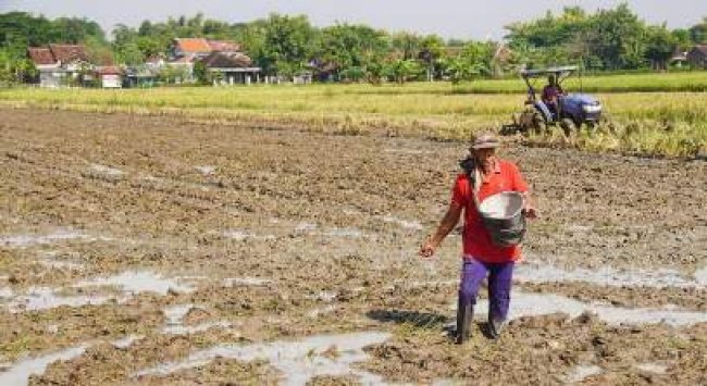 Jadwal Pemutakhiran Data e-RDKK Diumumkan, Jangan Sampai Terlewat!