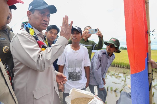 Mentan Amran Dorong Kalsel Tanam Padi 3 Kali Setahun, Saatnya Jadi Lumbung Pangan Nasional
