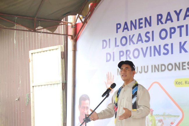 Petani Berteriak, Gabah Dibeli di Bawah HPP! Pimwil BULOG Kalsel Dicopot