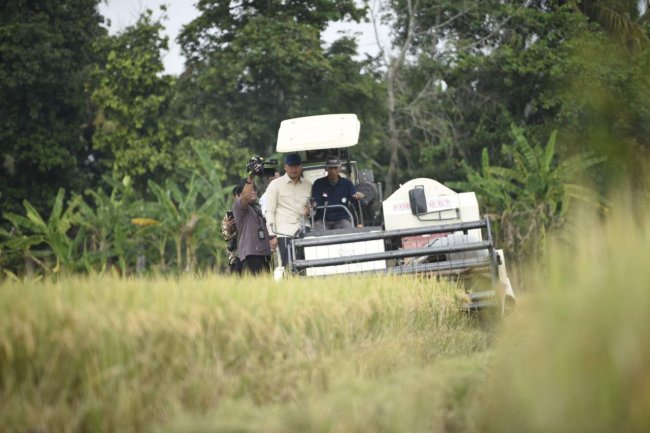 Bantul Konsisten Produksi Padi Terbaik Nasional