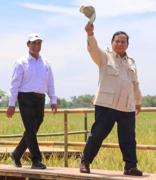 Pengamat: Layak Diapresiasi Publik, Panen Raya Padi 2025 Sangat Tinggi