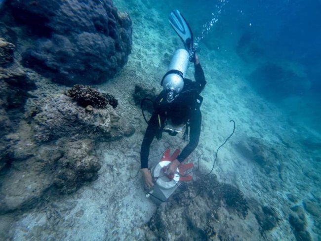 Peringati Hari Bumi 2025, Telkom Selenggarakan Konservasi Lingkungan Serentak di 4 Titik Lokasi di Indonesia