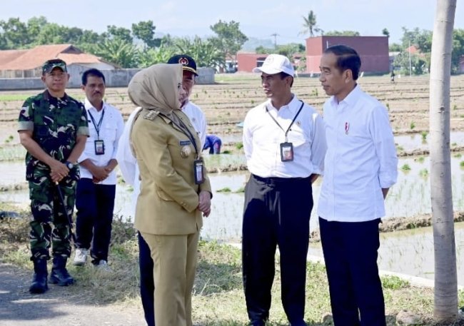 Mentan Amran Semobil dengan Presiden Jokowi, Pupuk Subsidi Dipermudah dan Ditambah
