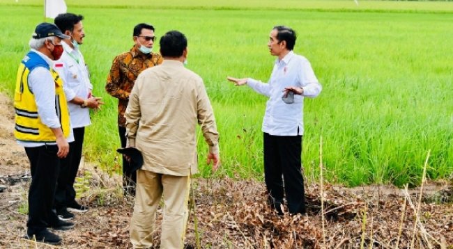Presiden Jokowi: Tahun ini Disiapkan 30 Ribu Hektare Lahan Potensial