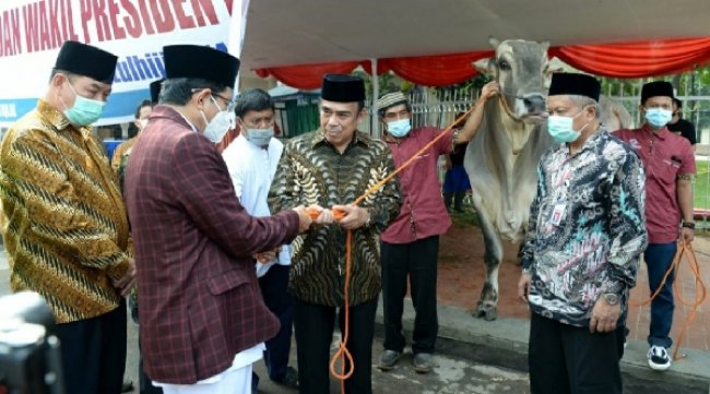 Jokowi Serahkan Hewan Kurban di Masjid Istiqlal
