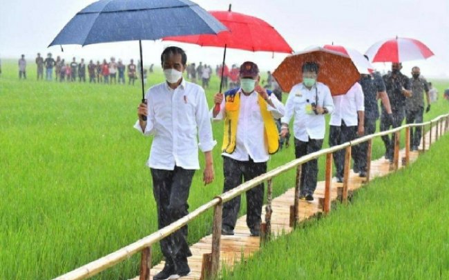 Ditengah Guyuran Hujan Lebat, Presiden Jokowi Tinjau Lumbung Pangan NTT