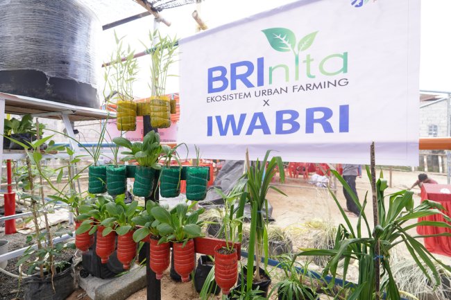 Warga Tuminting dan BRI Ubah Lahan Timbunan Sampah Jadi Lahan Urban Farming 'BRInita'