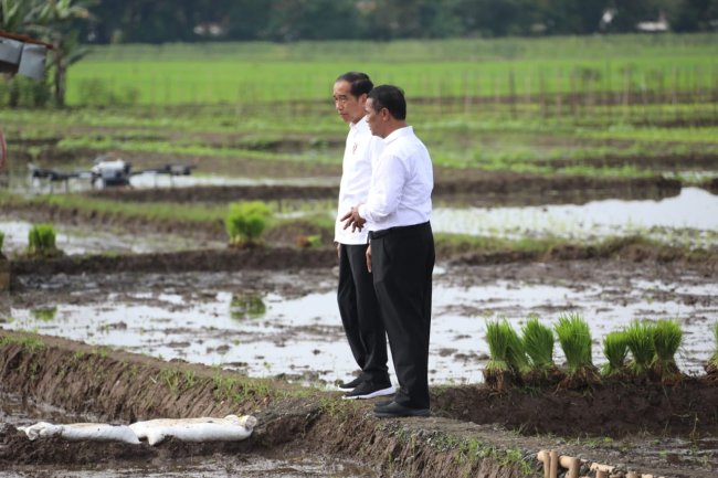 Ketersediaan Pupuk Subsidi Aman, Jokowi: Pengambilan Tak Lagi Sulit, Cukup Siapkan KTP Saja