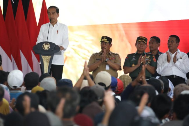 Jokowi: Anggaran Pupuk Bersubsidi Ditambah Rp 14 Triliun