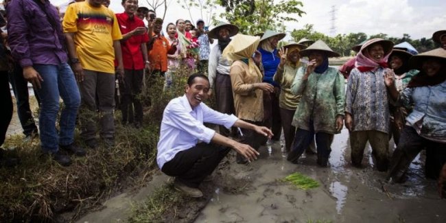 Jokowi Sentil Para Menteri, Harus Fokus Kerja