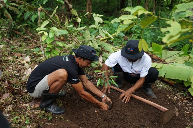 Menanam Tanaman Produktif di Lahan Kritis, BRI Grow & Green Berdayakan Dua Kelompok Tani di Bali