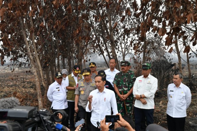 Presiden Jokowi Tegaskan Pentingnya Upaya Pencegahan Karhutla
