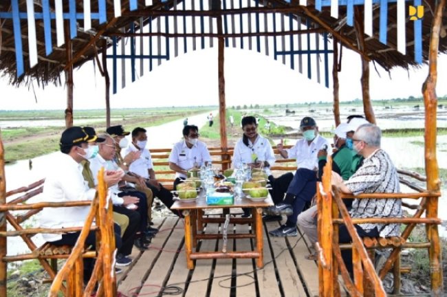 Tiga Menteri dan Kepala Staf Kepresidenan Tinjau Progres Kawasan Food Estate Kalteng, Tata Kelola Air Jadi Kunci Keberhasilan