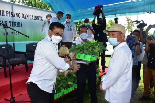 Mentan SYL Serahkan Bantuan Pisang dan Program Pertanian di Jeneponto