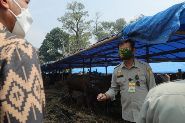 Mentan SYL Bersama Walikota Bogor Pantau Ketersediaan Hewan Kurban