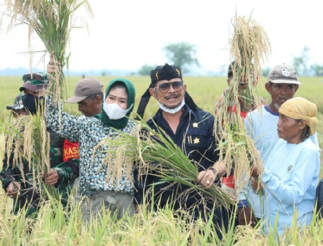 Mentan Dorong Kabupaten Karawang Jadi Percontohan Tiga Kali Panen