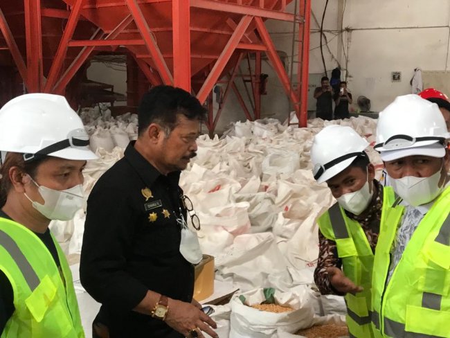 Kementan Kembangkan Korporasi Peternakan Ayam Petelur Terintegrasi