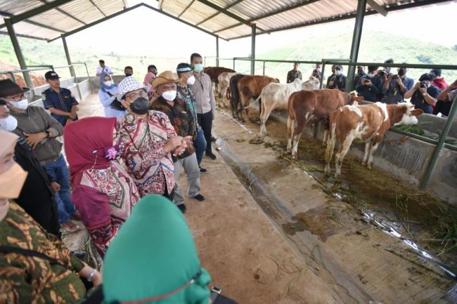 Desa Peternakan Terpadu Berkelanjutan, Gus Halim: Desa Akan Untung Minimal Rp300 Juta Lebih Per Tahun