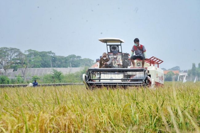 NTP Januari Naik, DPR Apresiasi Kinerja Kementan Dalam Meningkatkan Produksi dan Kesejahteraan Petani