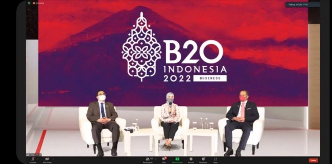 Task Force Energy, Sustainability and Climate B20, Ajukan 3 Rekomendasi Transisi Energi Hijau