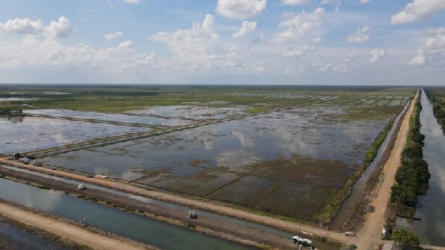 Kementerian PUPR Terus Mendukung Pengembangan Food Estate di Kalteng, Pekerjaan Infrastruktur TA 2022 Telah Terkontrak