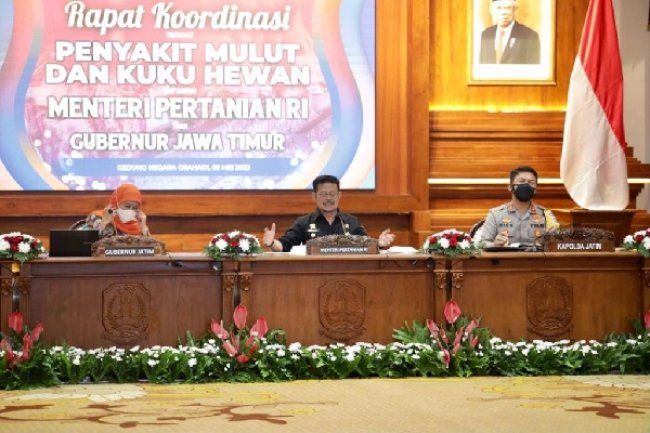 Mentan: PMK Tidak Menular ke Manusia dan Kementan Siapkan Strategi Pemberantasan