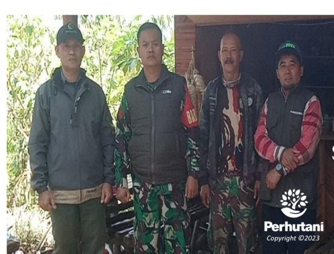 Perhutani KPH Bandung Utara Bersama Koramil Patroli ke Kawasan Manglayang Barat Antisipasi Kebakaran Hutan