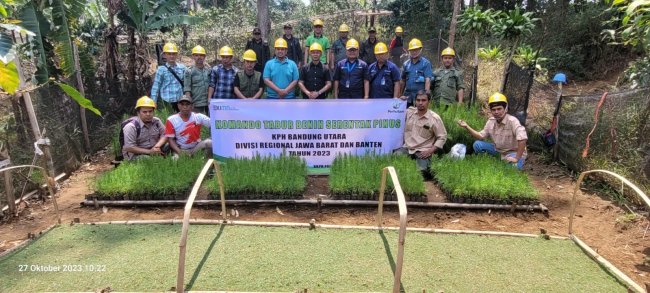 Perhutani Bandung Utara Laksanakan Tabur Benih Pinus Di Burangrang Selatan